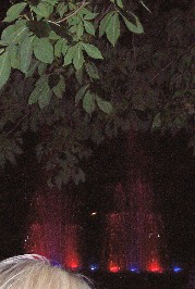 Foto vom Font�nenkonzert im Fronhof