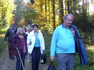 Foto vom Waldlehrpfad in Obersch&ouml;nenfeld