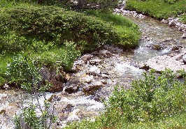 Foto vom Lech als kleinen Bach