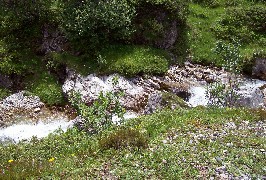 Foto vom Lech als kleinen Fluss
