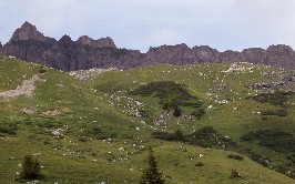 Foto der Roten Wand