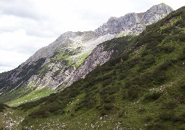 Foto eines grünen Berges mit Felsen