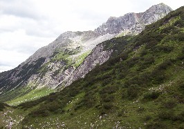 Foto eines gr&uuml;nen Berges mit Felsen