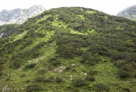 Foto vom Hexenberg