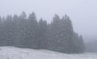 Foto vom dichten Schneetreiben am 4. Oktober