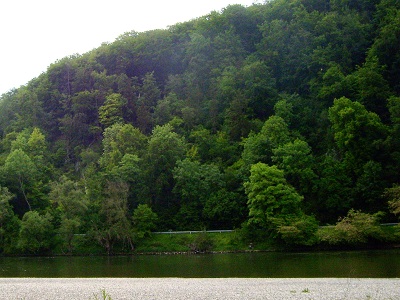Foto der Donau vor Kloster Weltenburg