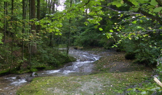 Foto vom R&ouml;ckenbach