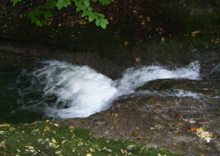 Foto vom R&ouml;ckenbach