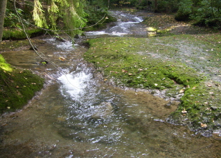 Foto vom R&ouml;ckenbach