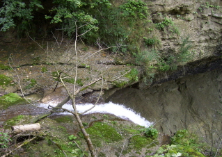 Foto vom zweitgrößten der Scheidegger Wasserfälle